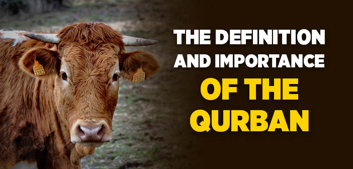 The Definition and Importance of The Qurban (Shafii)