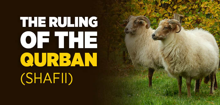 The Ruling of The Qurban (Shafii)